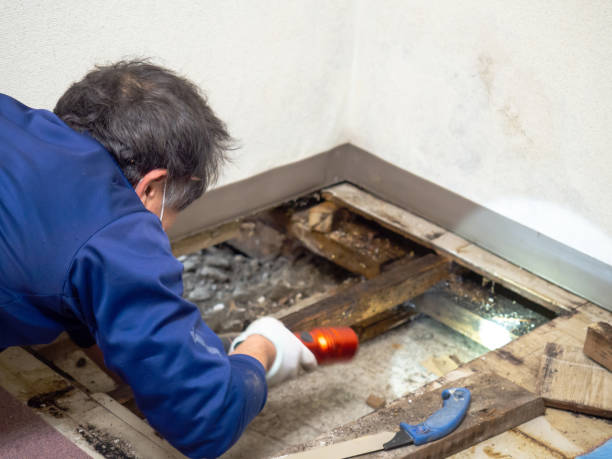 Best Office Mold Removal Services  in Fairmount, CO