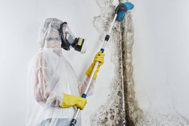 Best Mold Testing  in Fairmount, CO