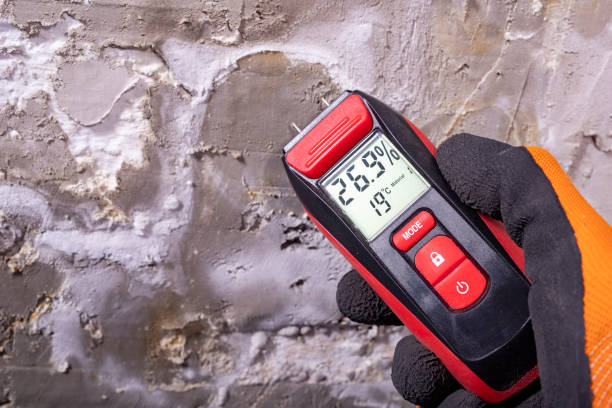 Best Mold Removal Near Me  in Fairmount, CO