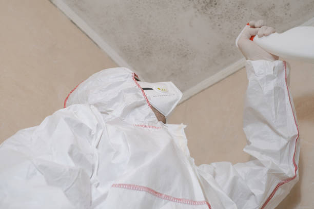 Certified Mold Removal in Fairmount, CO